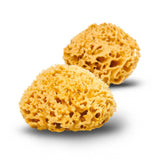 Natural Plastic-Free Organic Wool Sea Sponge