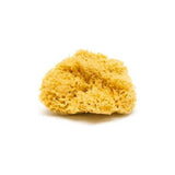 Natural Plastic-Free Organic Wool Sea Sponge