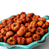 Fall Mini Pumpkin Potpourri Pack: Amish Harvest