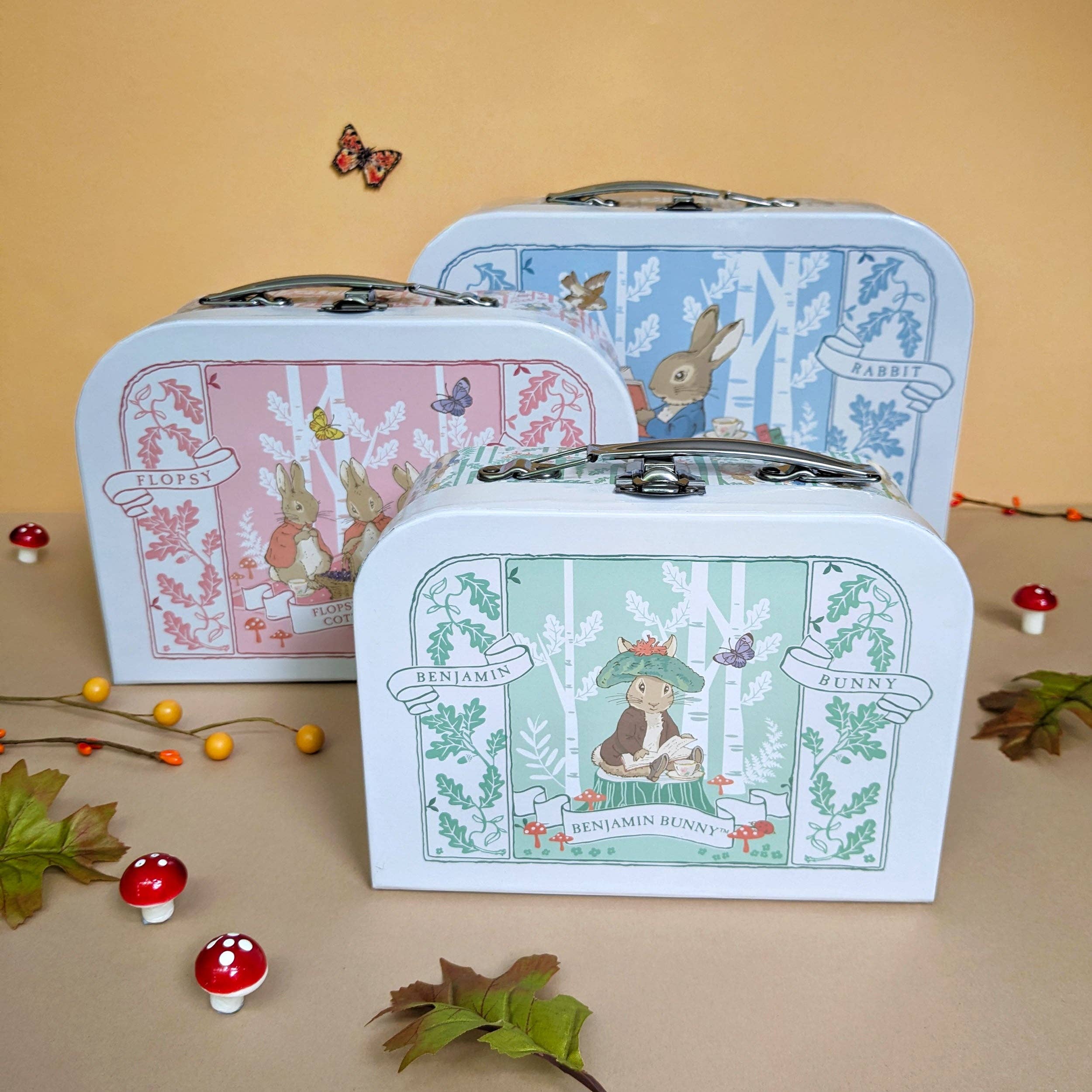 Beatrix Potter Children's Triple Carry Case 3 Piece Set – Texture