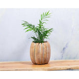 Cement Pumpkin Planters