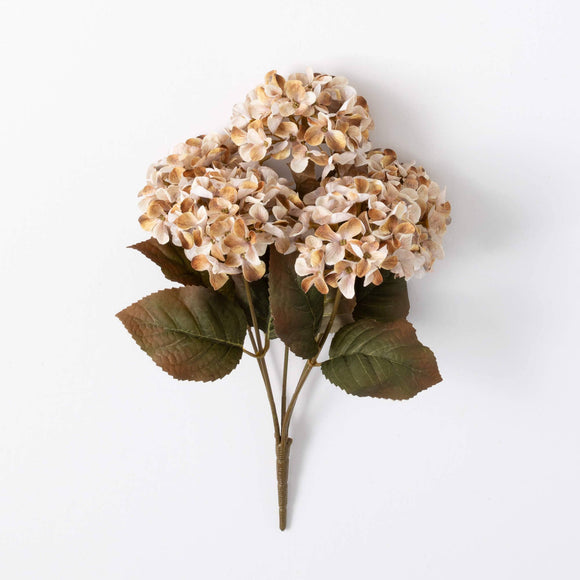 Hydrangea Bush