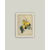 Branch of a Lemon Tree Framed Antique Art: 7x9