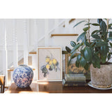 Branch of a Lemon Tree Framed Antique Art: 7x9