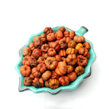 Pumpkin Spice Scented Mini Pumpkin Potpourri