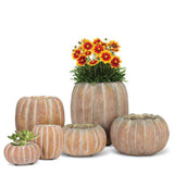 Medium Tall Pumpkin Planter