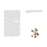 Sense and Sensibility by Jane Austen