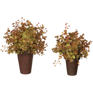 Autumn Eucalyptus Pot