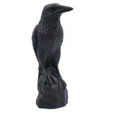 Perched Raven Pillar Candle
