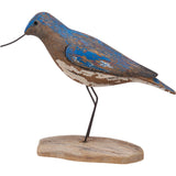 Willet Sitter