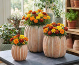 Medium Tall Pumpkin Planter