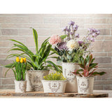 Embossed Bee Crest Cement Planter