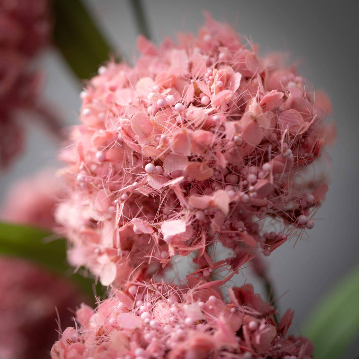 Pink Thistle Spray | Texture and Tuft – Texture + Tuft