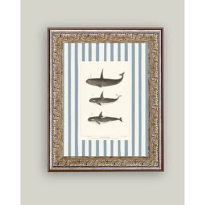 Whales on Stripes Framed Antique Art: 8x10