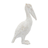 White Standing Pelican