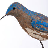 Willet Sitter