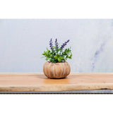 Cement Pumpkin Planters