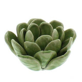 Green Ceramic Succulent Tealight Holder