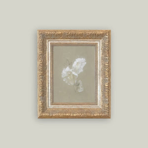 Alexandria Sage and White Flowers Framed Antique Art: 9x7