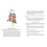Jane Austen's Garden by Molly Williams