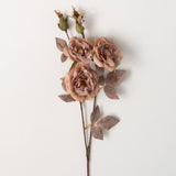 Dusty Rose Stems