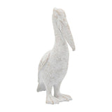 White Standing Pelican