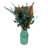 Silver Dollar & Baby Eucalyptus Preserved Bundle