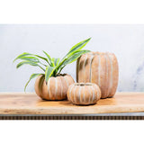 Cement Pumpkin Planters