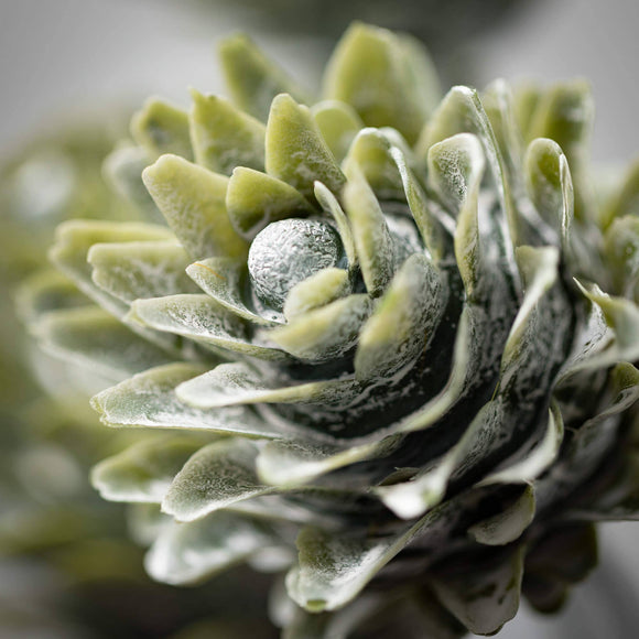 Green Dragon Succulent Spray