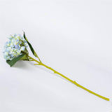 Light Blue Hydrangea Stem