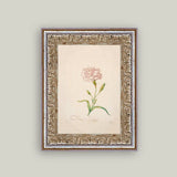 Pink Carnation Framed Antique Art: 5x7