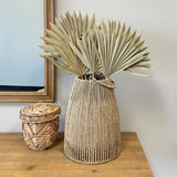 Dried Sun Palms