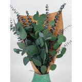 Silver Dollar & Baby Eucalyptus Preserved Bundle