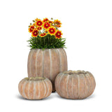 Cement Pumpkin Planters