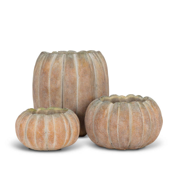 Cement Pumpkin Planters