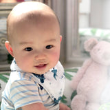 Sea Turtle Oh-So-Soft Muslin Bandana Bib