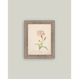 Pink Carnation Framed Antique Art: 5x7