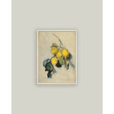 Branch of a Lemon Tree Framed Antique Art: 7x9