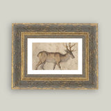 Vintage Reindeer Framed Antique Art: 7x5