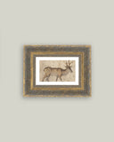 Vintage Reindeer Framed Antique Art: 10x8