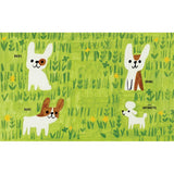 Gaston by Kelly DiPucchio: Hardcover