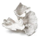 White Flower Coral
