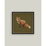 Fox Closeup Framed Antique Art: 5x5