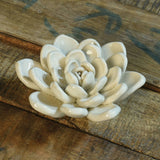 Cream Ceramic Succulent