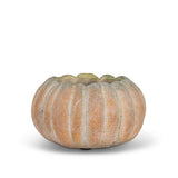 Cement Pumpkin Planters