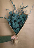 Silver Dollar & Baby Eucalyptus Preserved Bundle