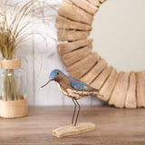 Willet Sitter