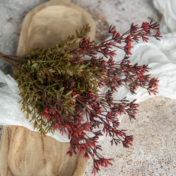 New England Boxwood and Berry Bush Stem