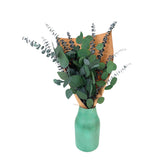Silver Dollar & Baby Eucalyptus Preserved Bundle