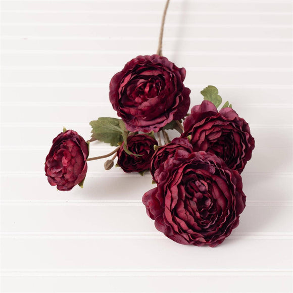 Burgundy Ranunculus Pick